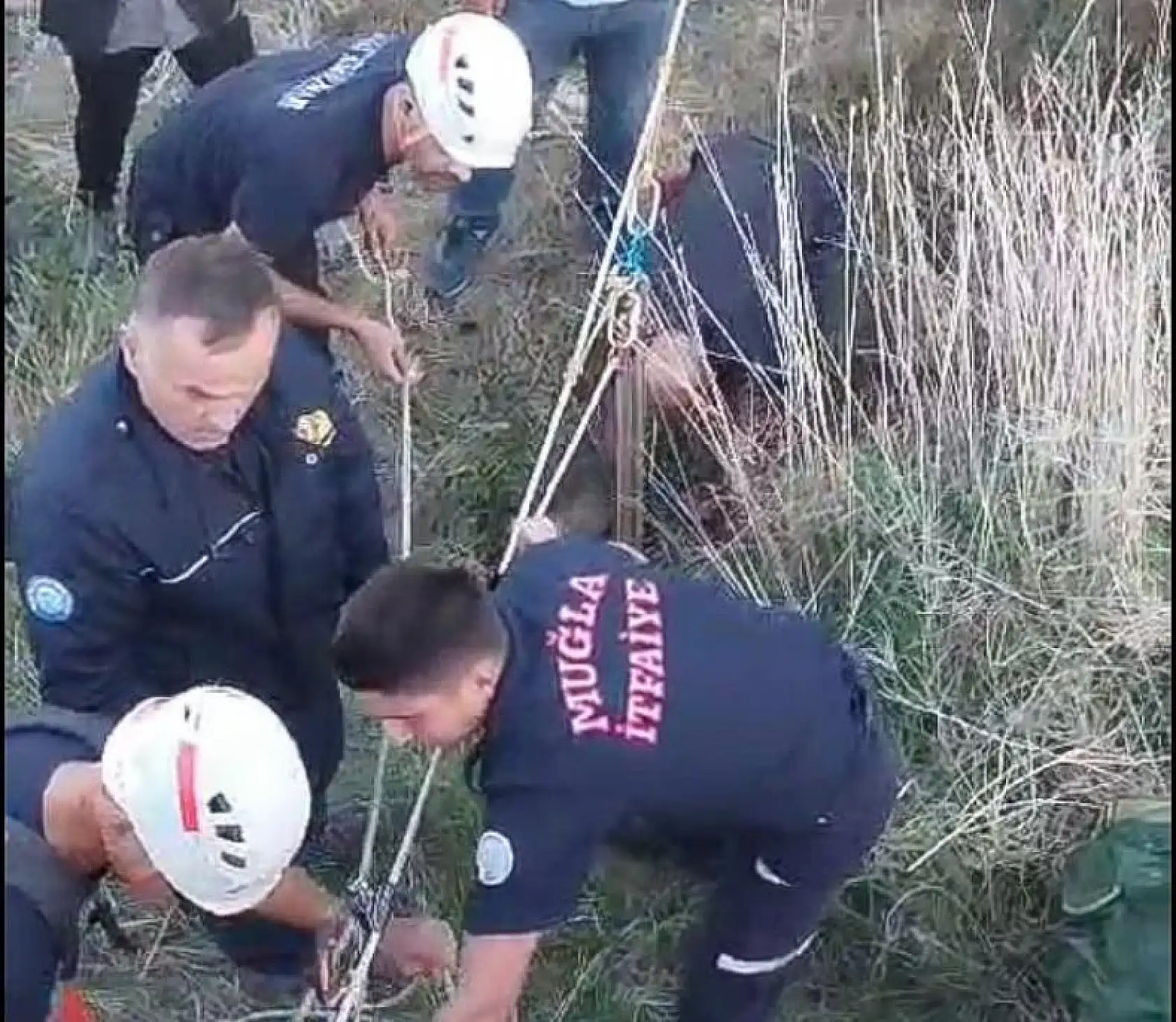 Kurt köpeği kuyuya düştü