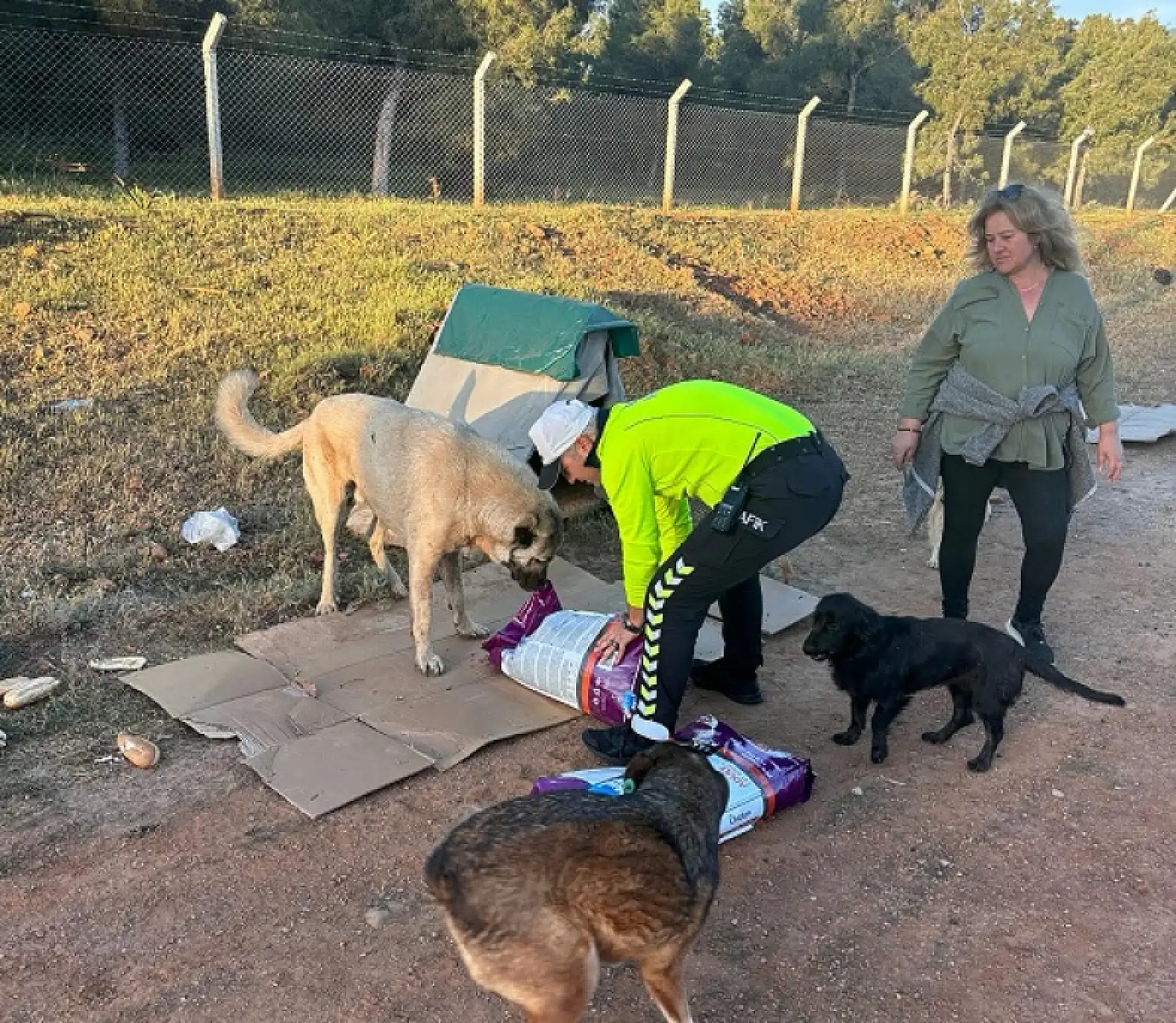 Fethiye polisi sokak hayvanlarını unutmadı