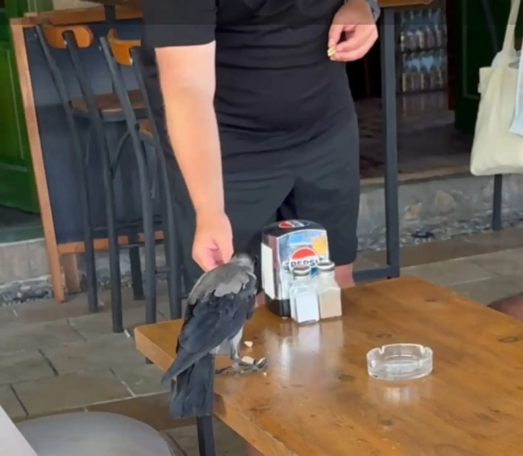 Sıcağa dayanamayan karga çarşı çarşı dolaşıp su içti, karnını doyurdu