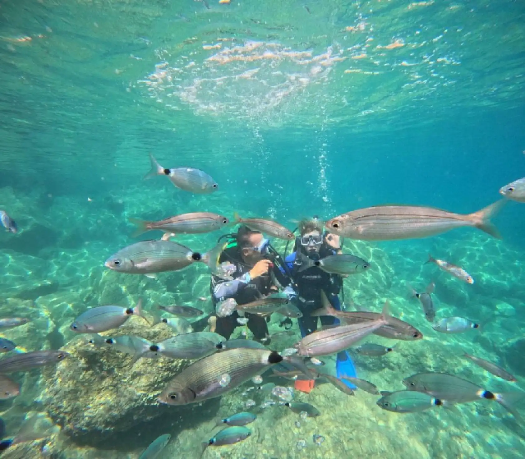 Marmaris'te dalış turizmine ilgi artıyor