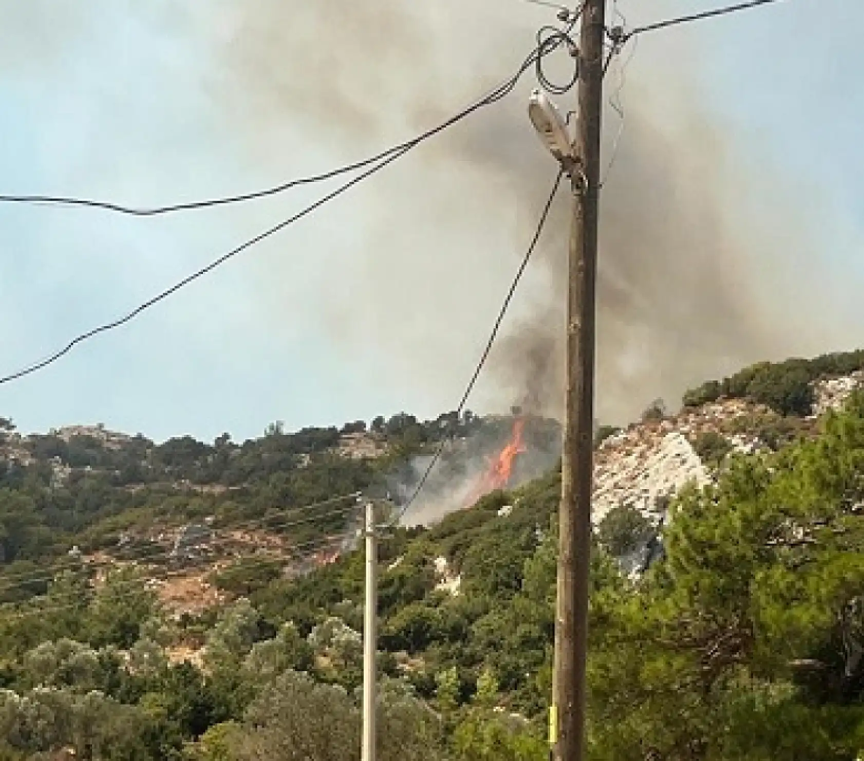 Muğla'daki orman yangınını söndürme çalışmaları devam ediyor