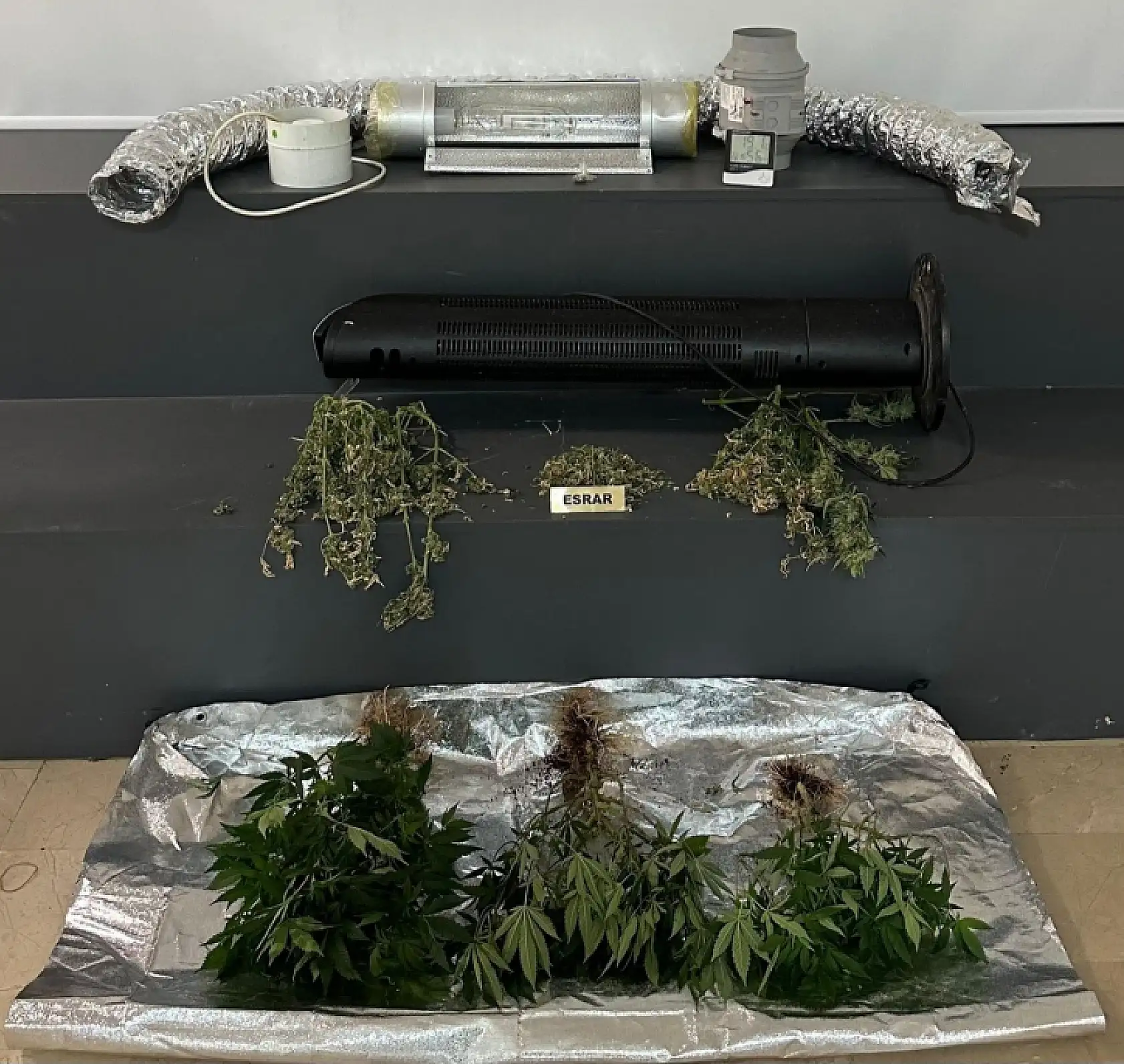 Elbise dolabından kenevir serası