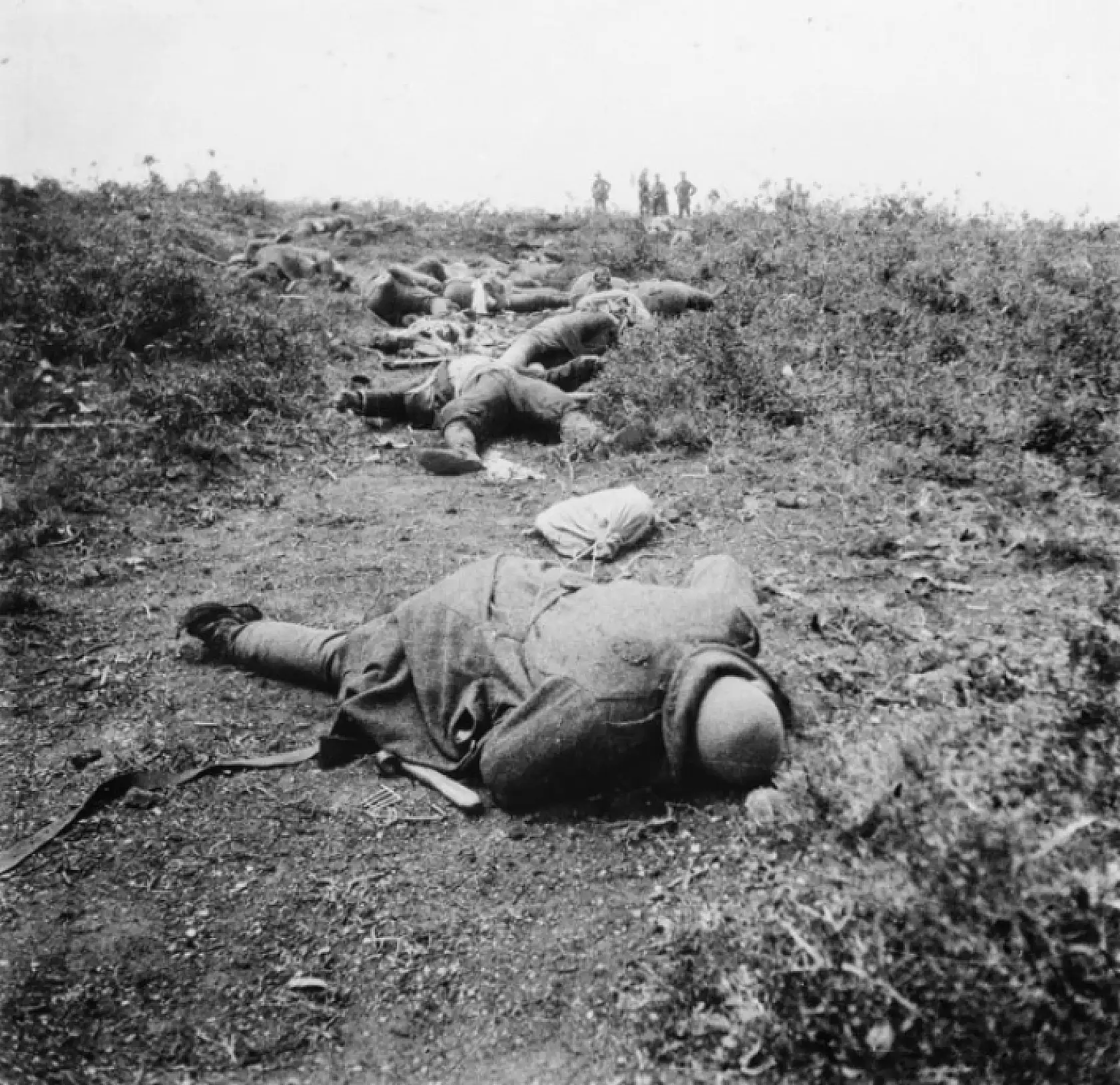 Çanakkale'de 110 Yıllık Rapor: Savaşın Vahşeti Gün Yüzüne Çıktı