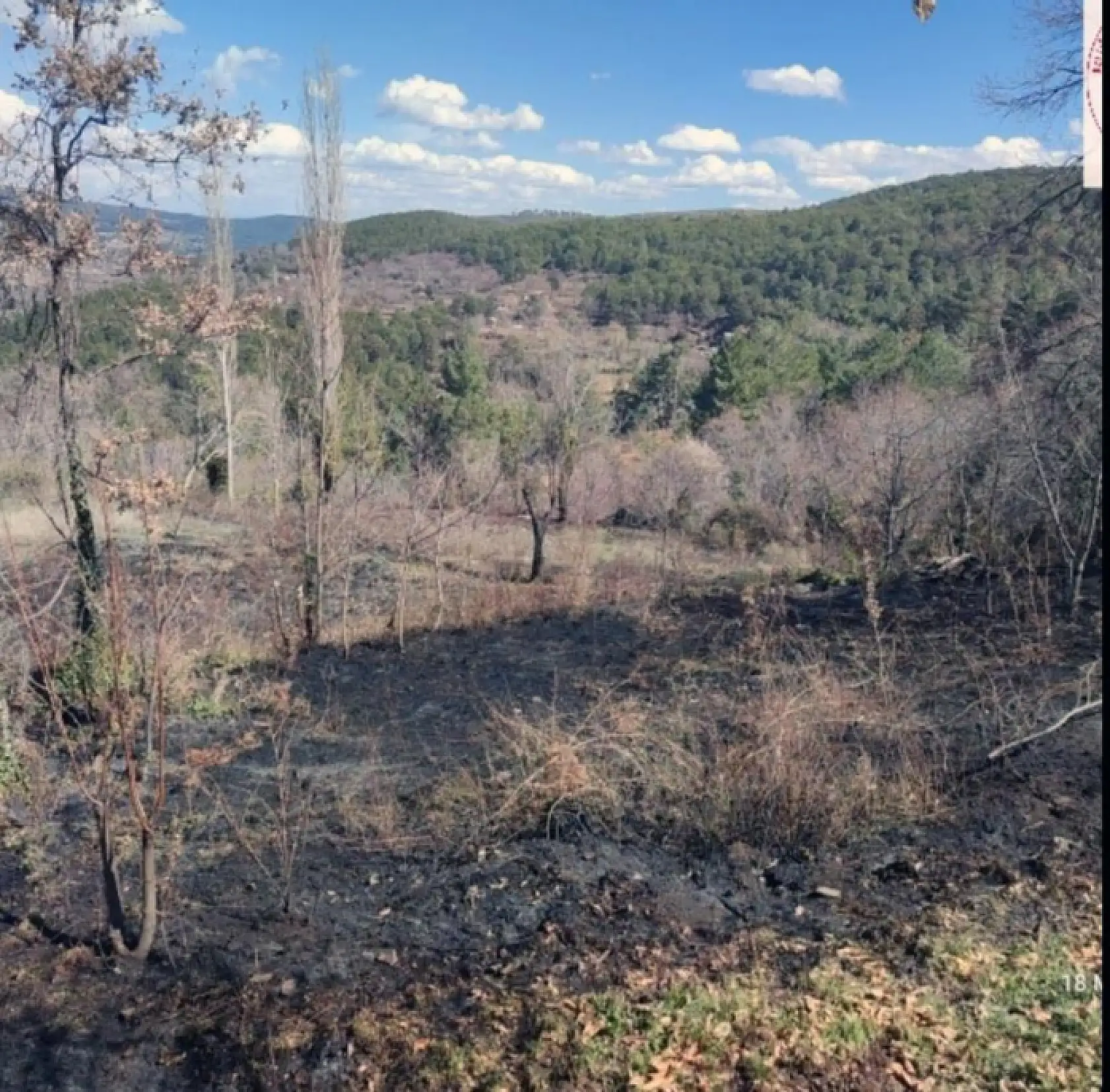 Muğla Kavaklıdere'de yangın paniği: Ekipler zamanında müdahale etti