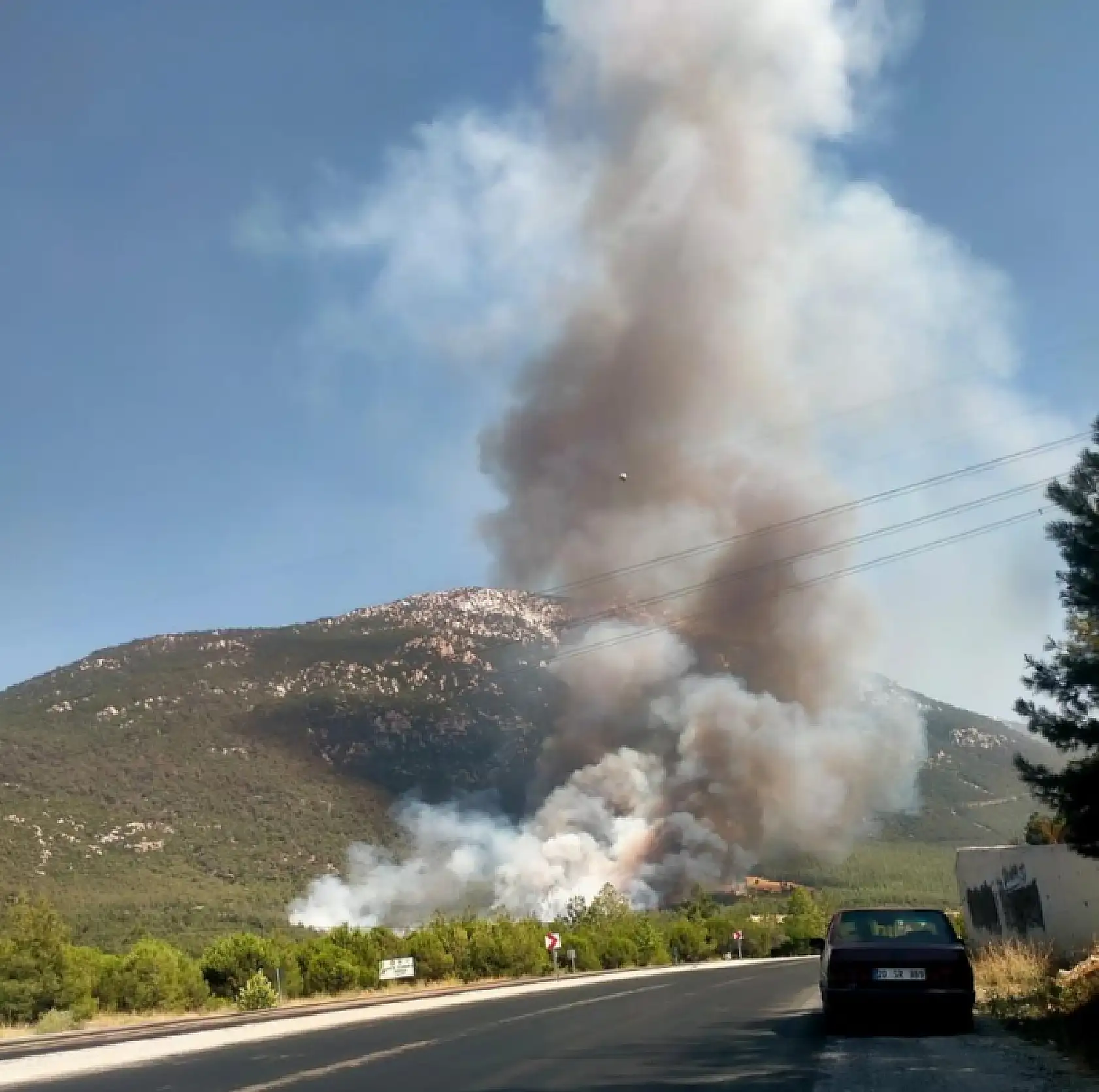 Denizli-Antalya Karayolu Kenarında Orman Yangını