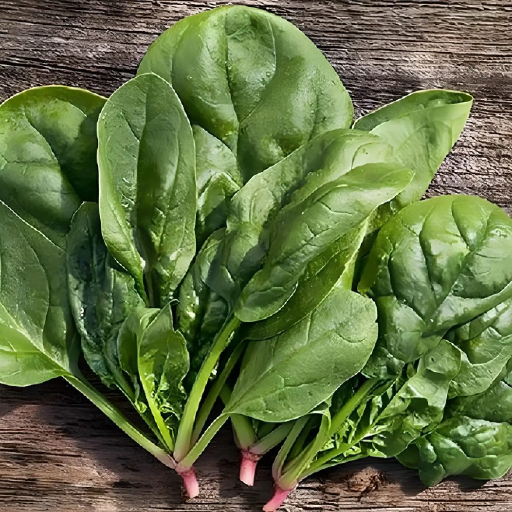 Mutluluğun yolu mideden geçiyor