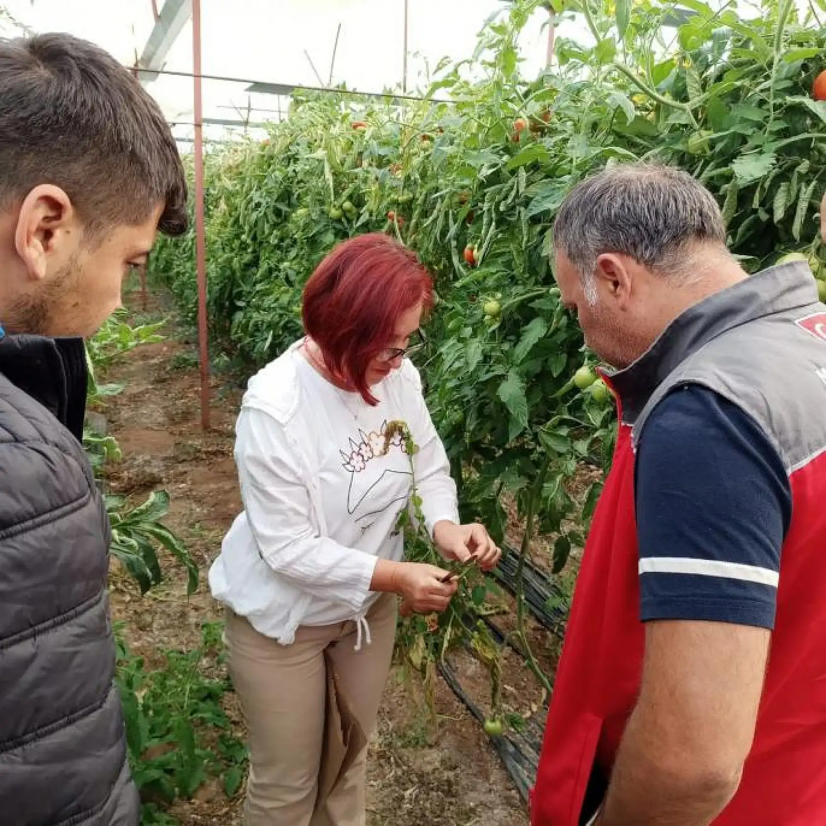 Çiftçilerden eğitime yoğun ilgi
