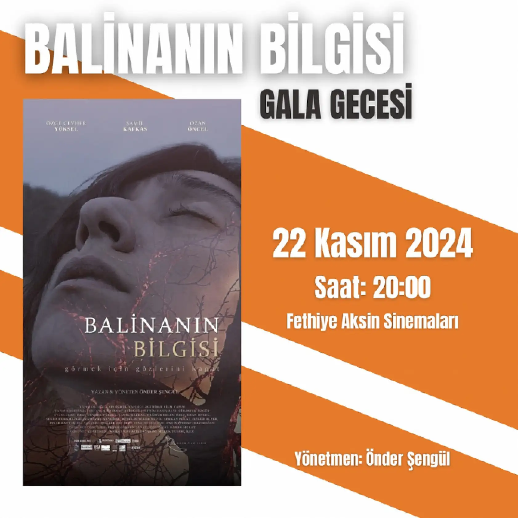2. Fethiye Film Festivali Festival Programı ve Gösterim Seçkisi