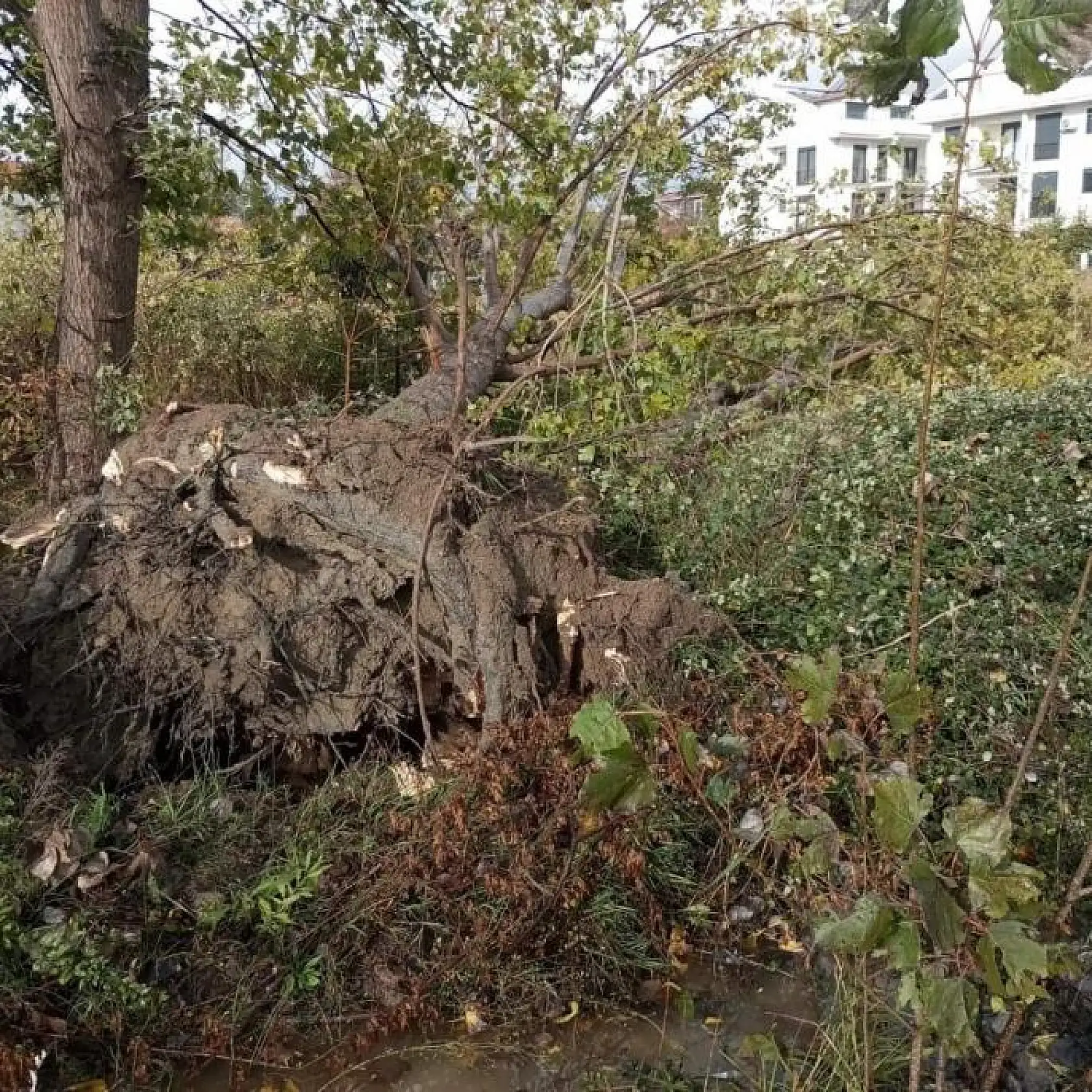 Hortum ve sağanak yağış hayatı olumsuz etkiledi