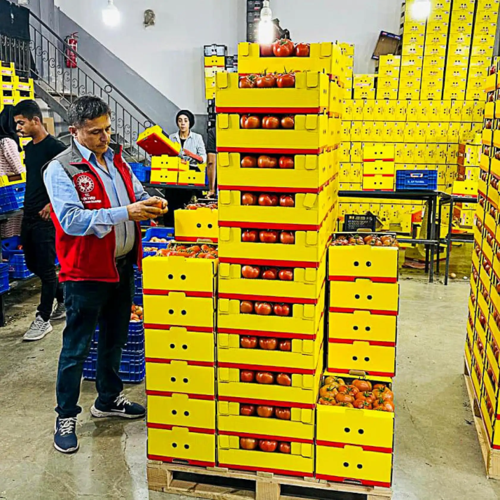 Ortaca'da üretilen ürünler tüm dünyaya ihraç oluyor