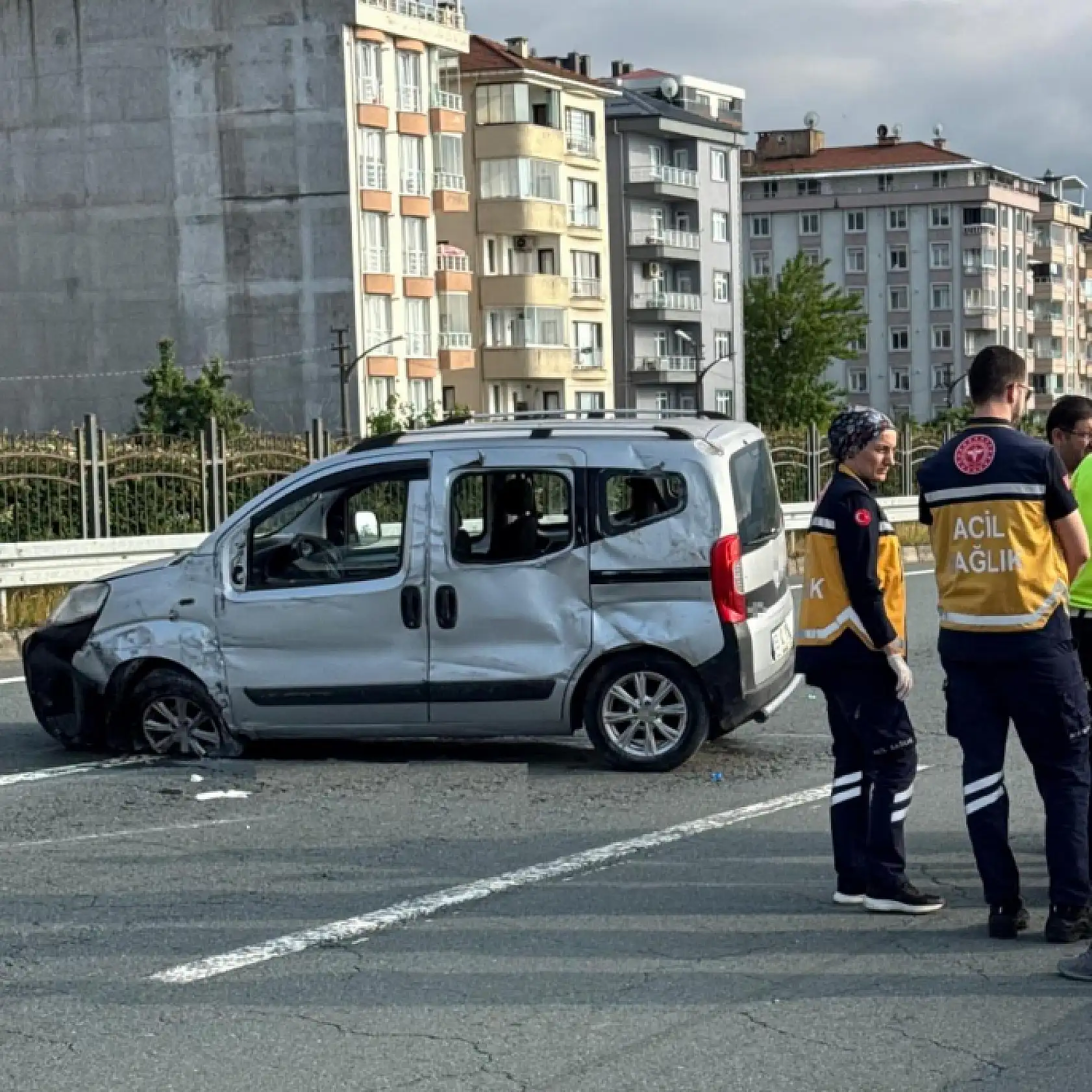 2 kardeşin ölümüne arabaya giren arı sebep oldu