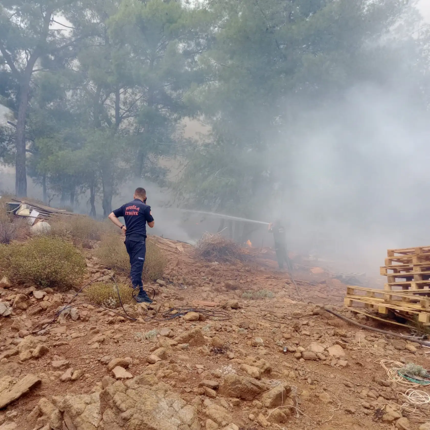 Muğla Büyükşehir İtfaiyesi Milas ve Köyceğiz'de Alevlerle Mücadelede