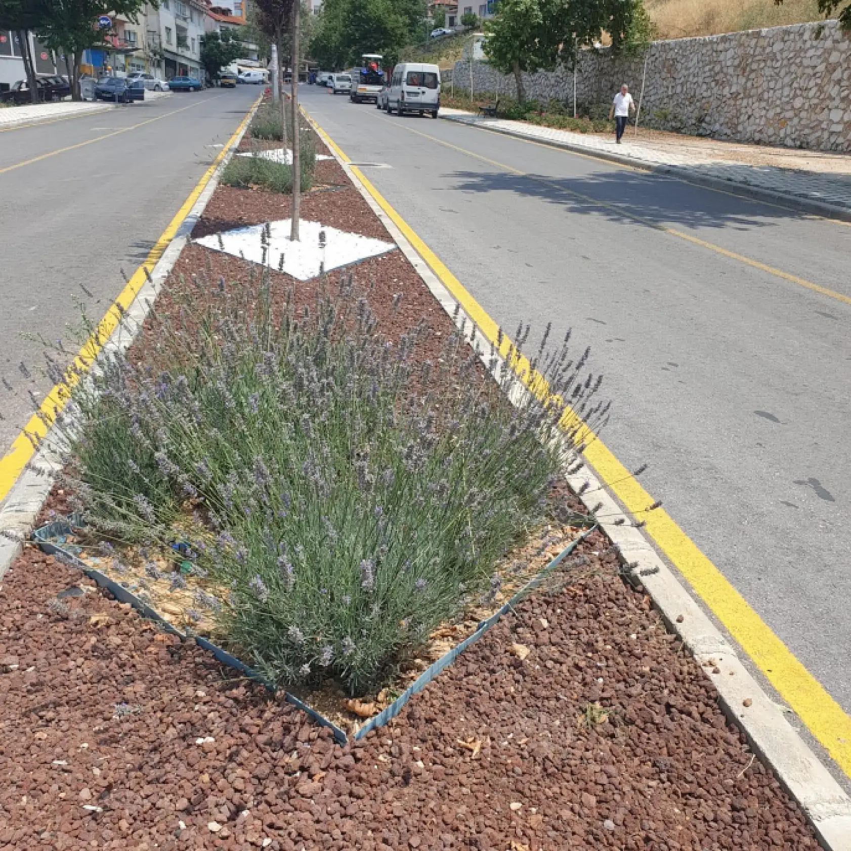 Muğla Büyükşehir'den Su Krizine Karşı Çevre Dostu Çözümler