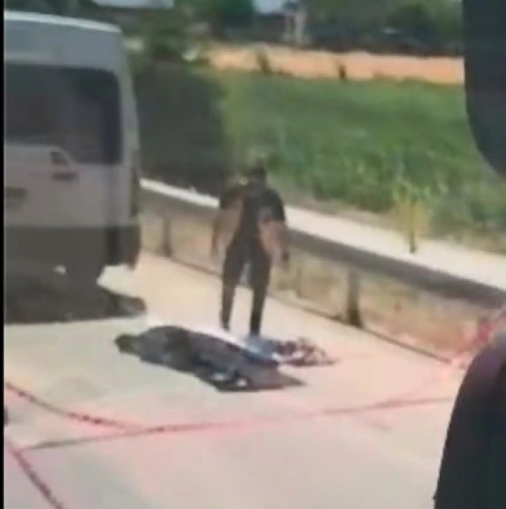 Yaz tatilinde dedesinin yanına giden çocuk, bisikletiyle karşıya geçerken hayatını kaybetti