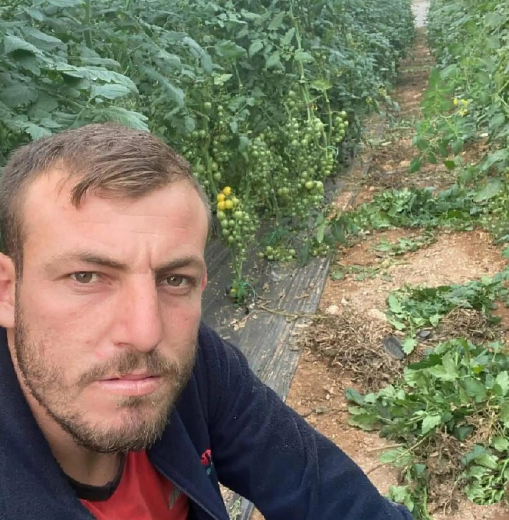 Eski kız arkadaşının babası tarafından bıçaklanan genç, hayata tutunamadı