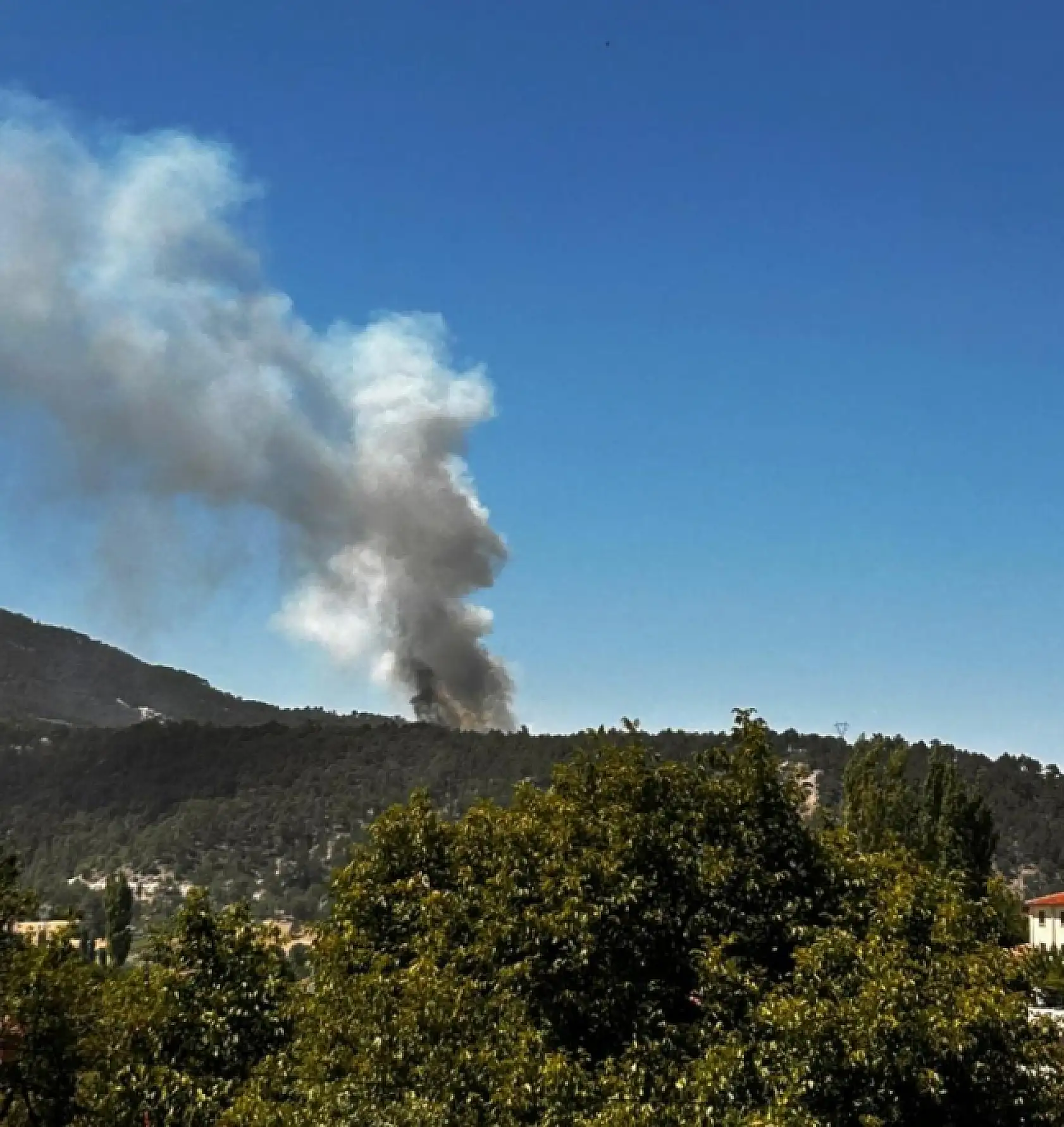 Denizli Honaz'da orman yangını
