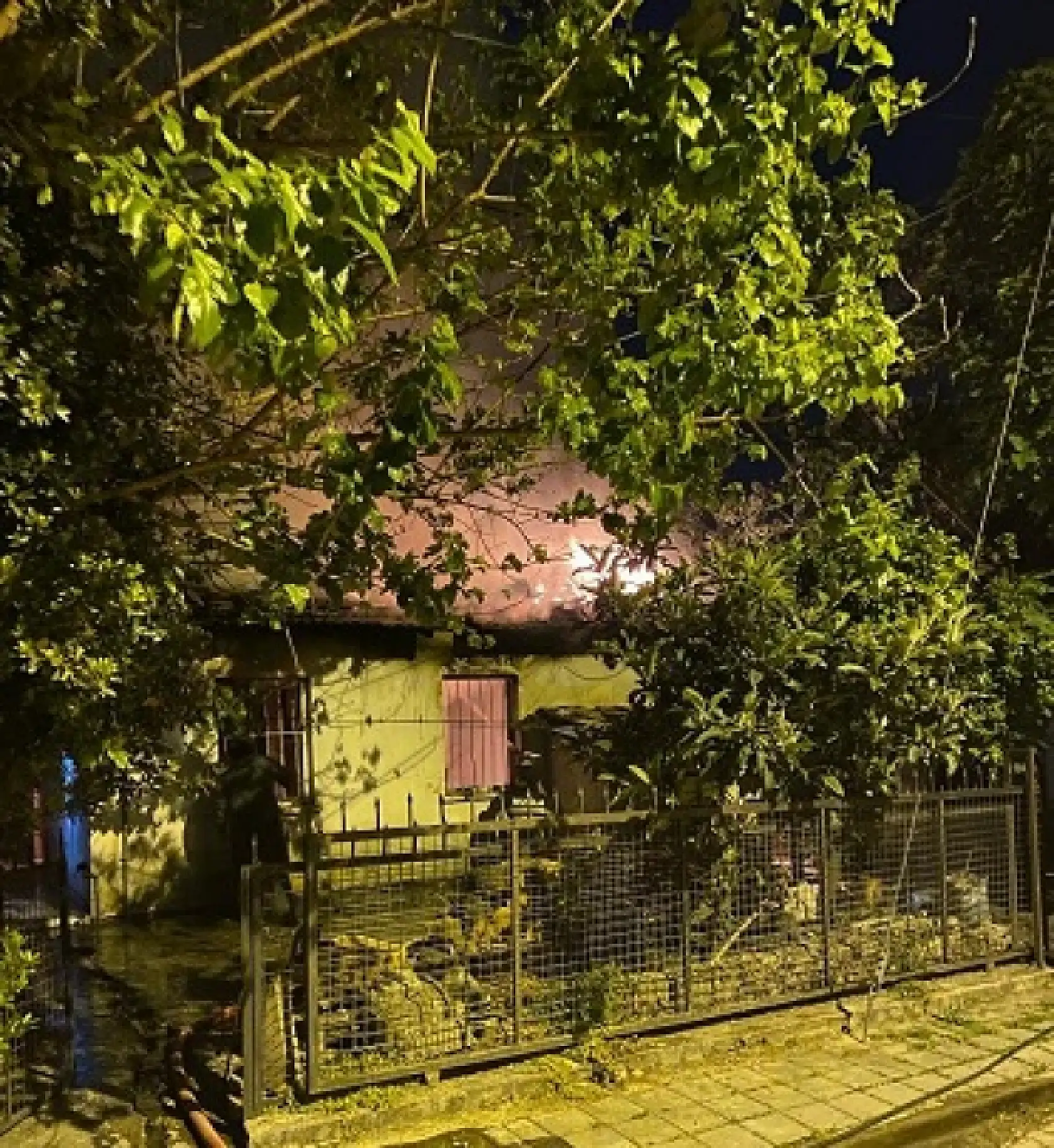 Fethiye'de yangın çıktı Dumandan etkilenen yaşlı kadın hayatını kaybetti