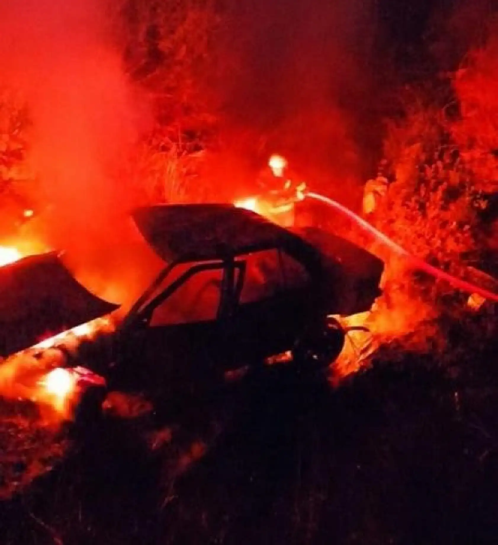 Köprüden uçan otomobil yanarak kül oldu: Sürücü son anda kurtarıldı