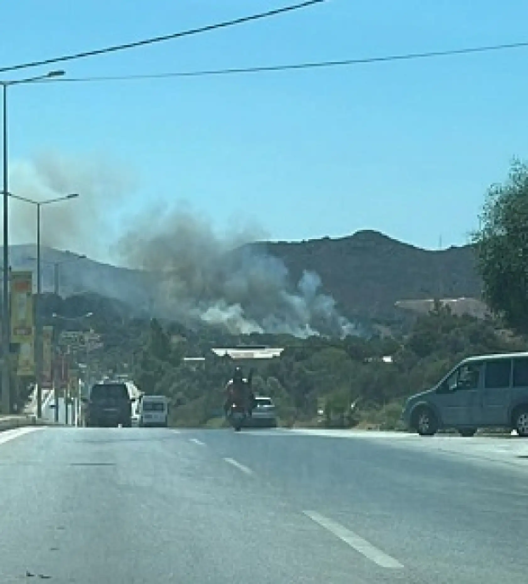 Bodrum'da makilik alanda yangın