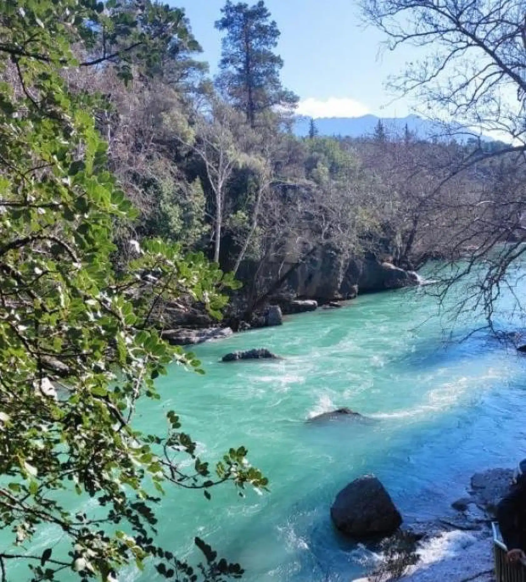 Fotoğraf çekerken 50 metreden aşağı düşüp feci şekilde can verdi