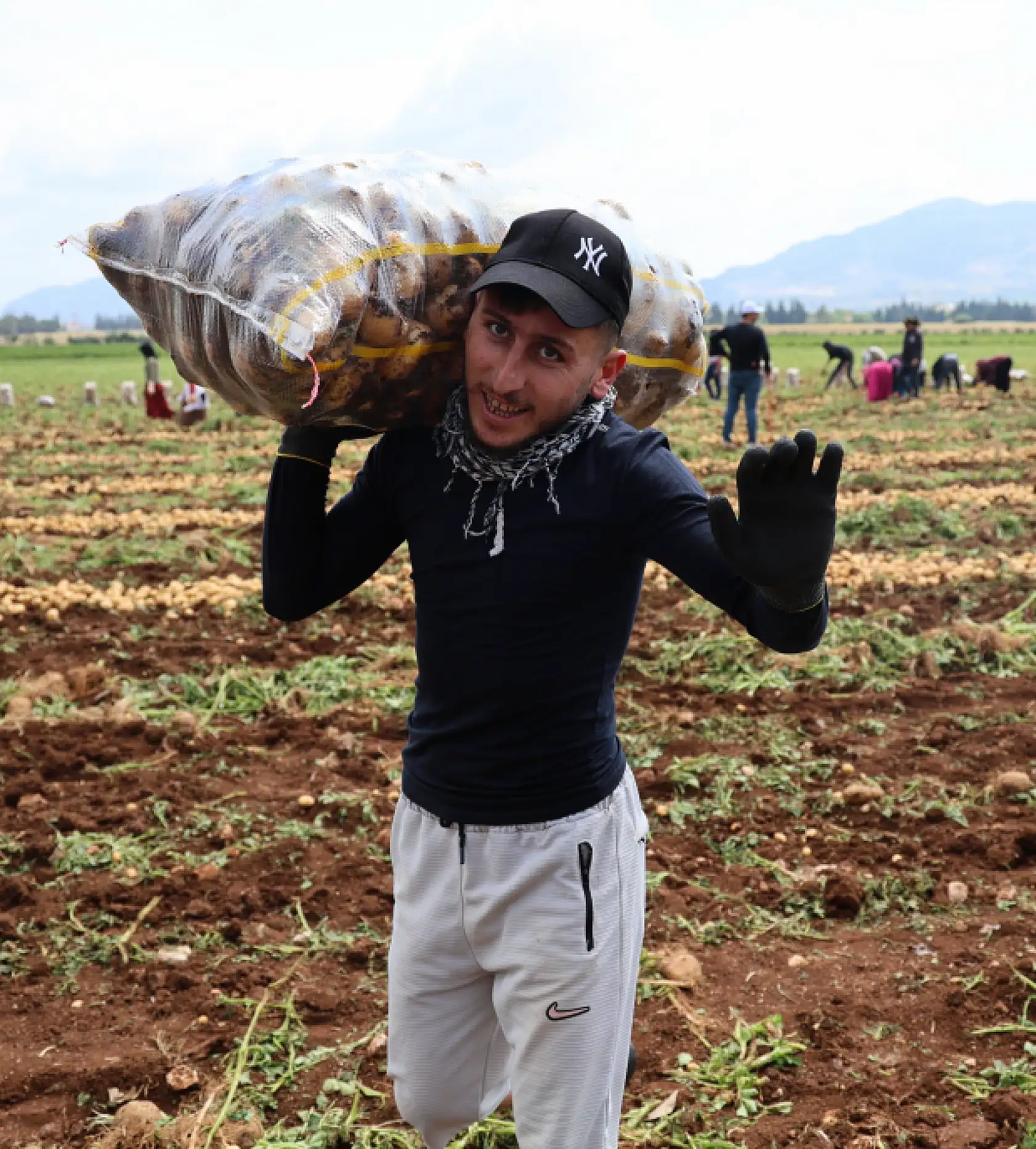 Bunlar özel işçiler: Günlük 250-300 ton patates yükleyip 2 bin 500 TL kazanıyorlar
