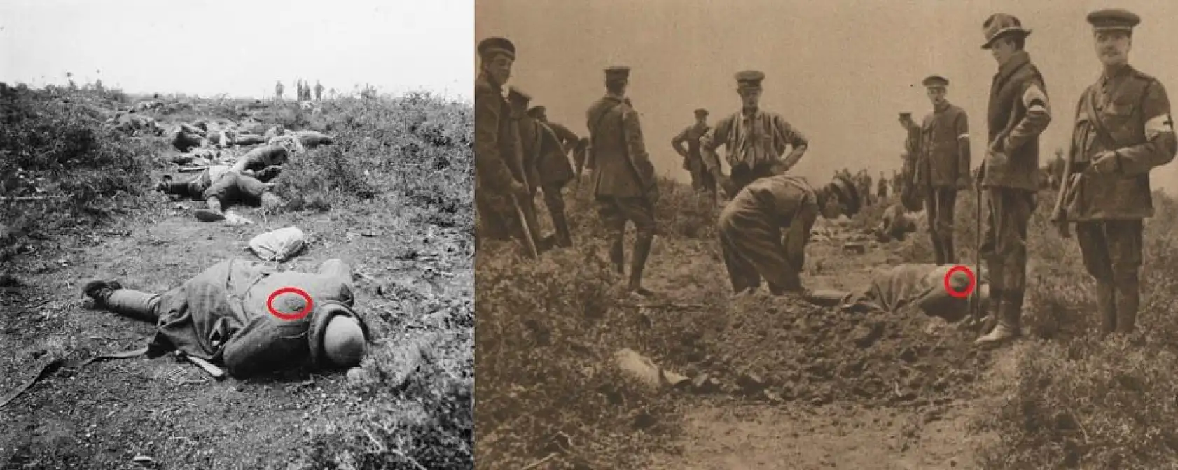Çanakkale'de 110 Yıllık Rapor: Savaşın Vahşeti Gün Yüzüne Çıktı