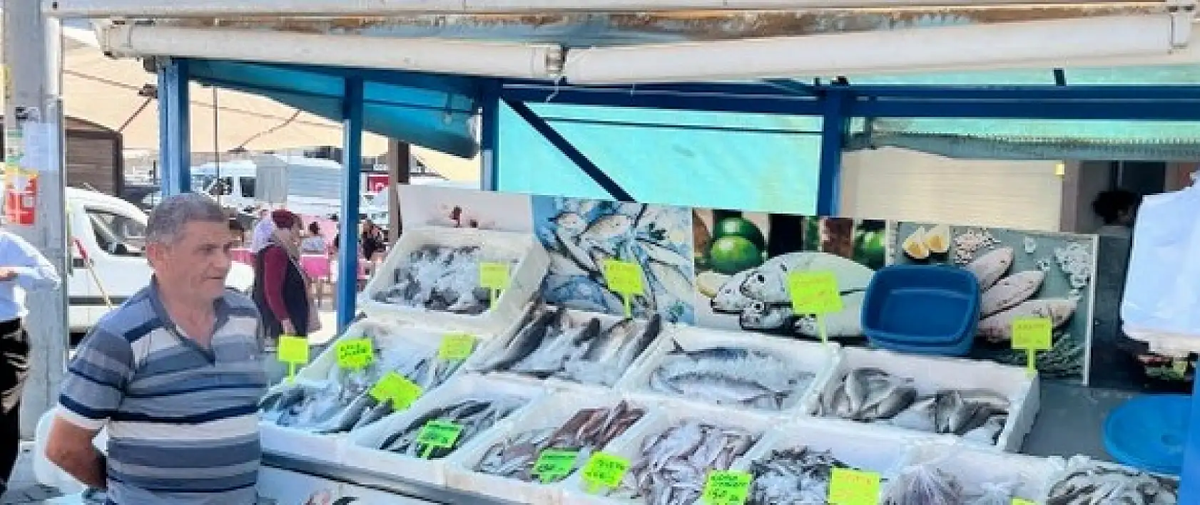 Seyyar Balıkçı Demin, 'Şu an Palamutun Tam Zamanı'