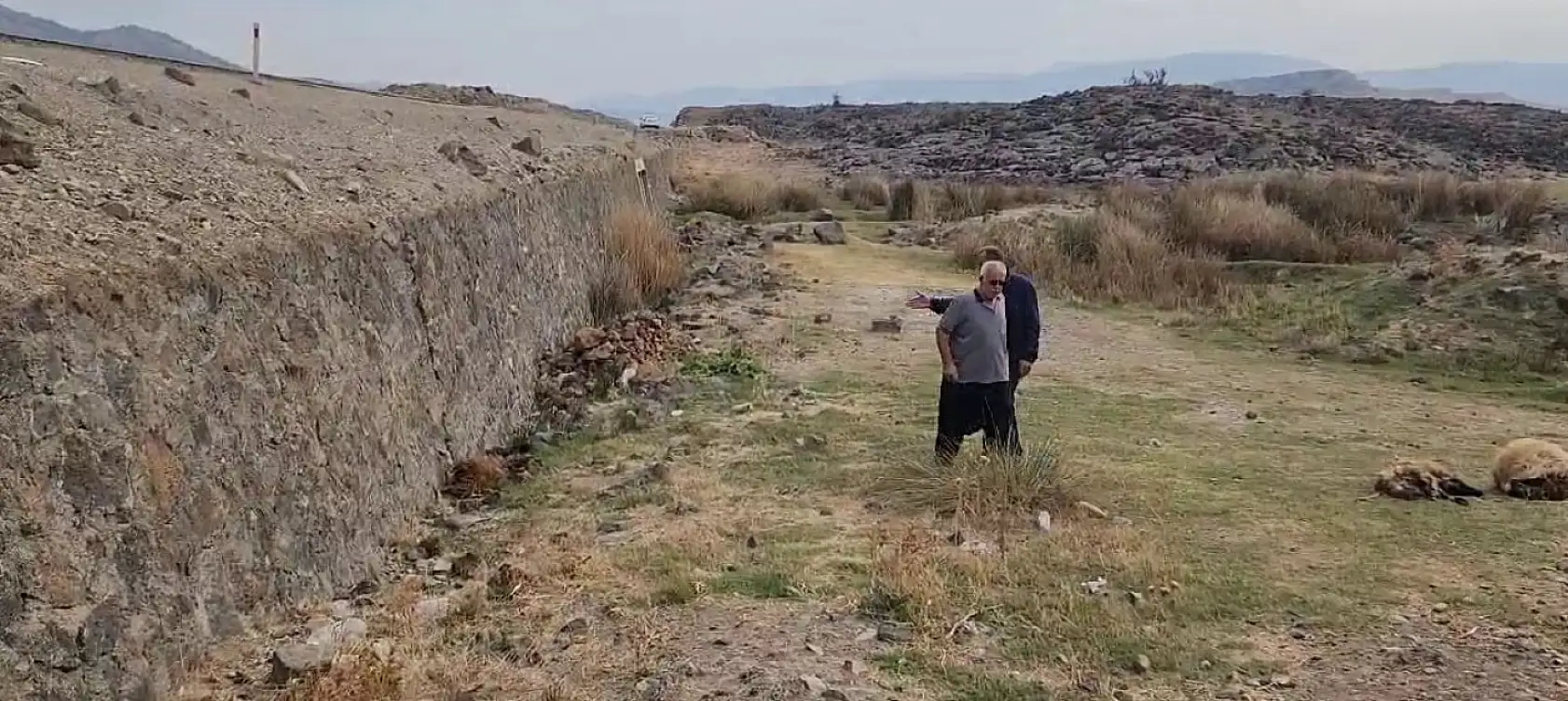 Küçükbaş hayvan sürüsünün arasında otomobil daldı: 17 hayvan telef oldu