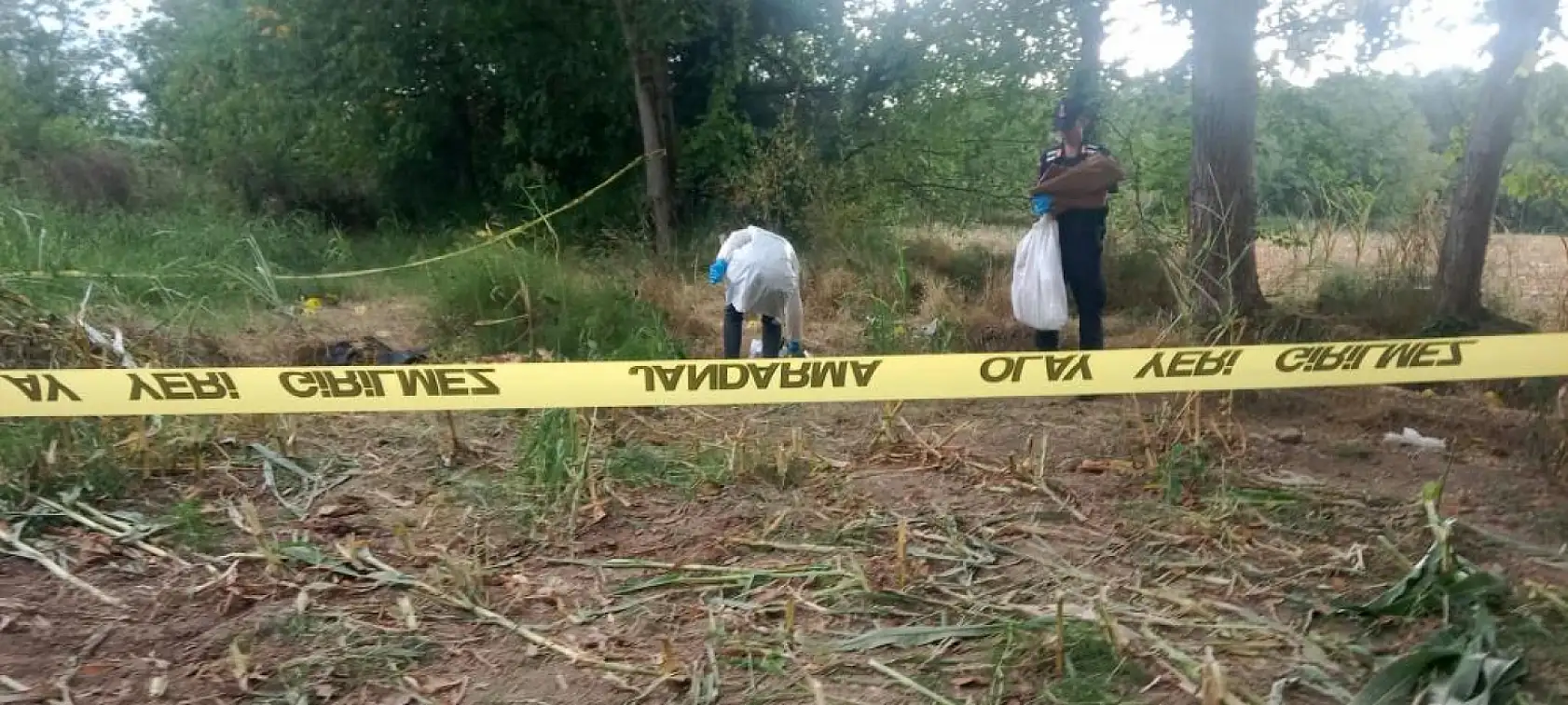 Çiftçinin Şaşkınlığı: Tarlada Kafatası ve Kemikler Ortaya Çıktı