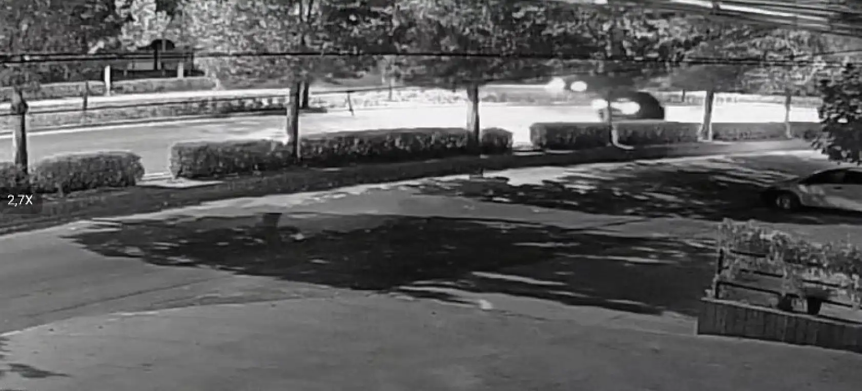 Doğum günü partisinden dönen nişanlı çift ağaca saplanan otomobilde can verdi