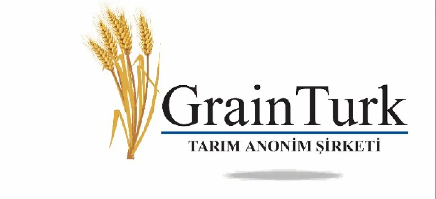 Bu Haber Borsacıları İlgilendiriyor, Bu Hafta Hangi Hisseler Temettü Dağıtacak?