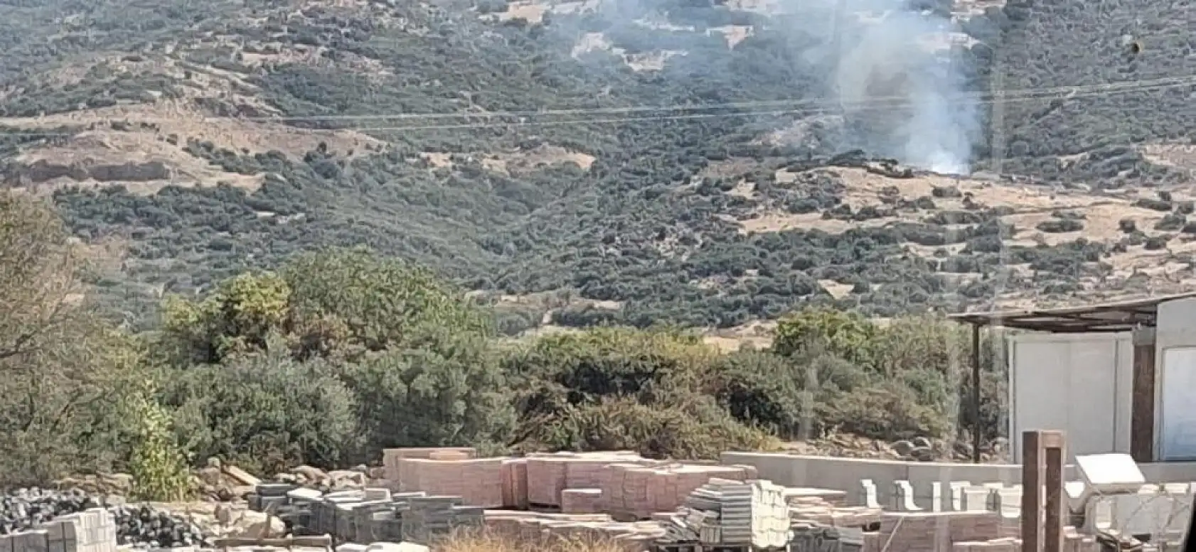 İzmir Aliağa'da makilik alanda yangın