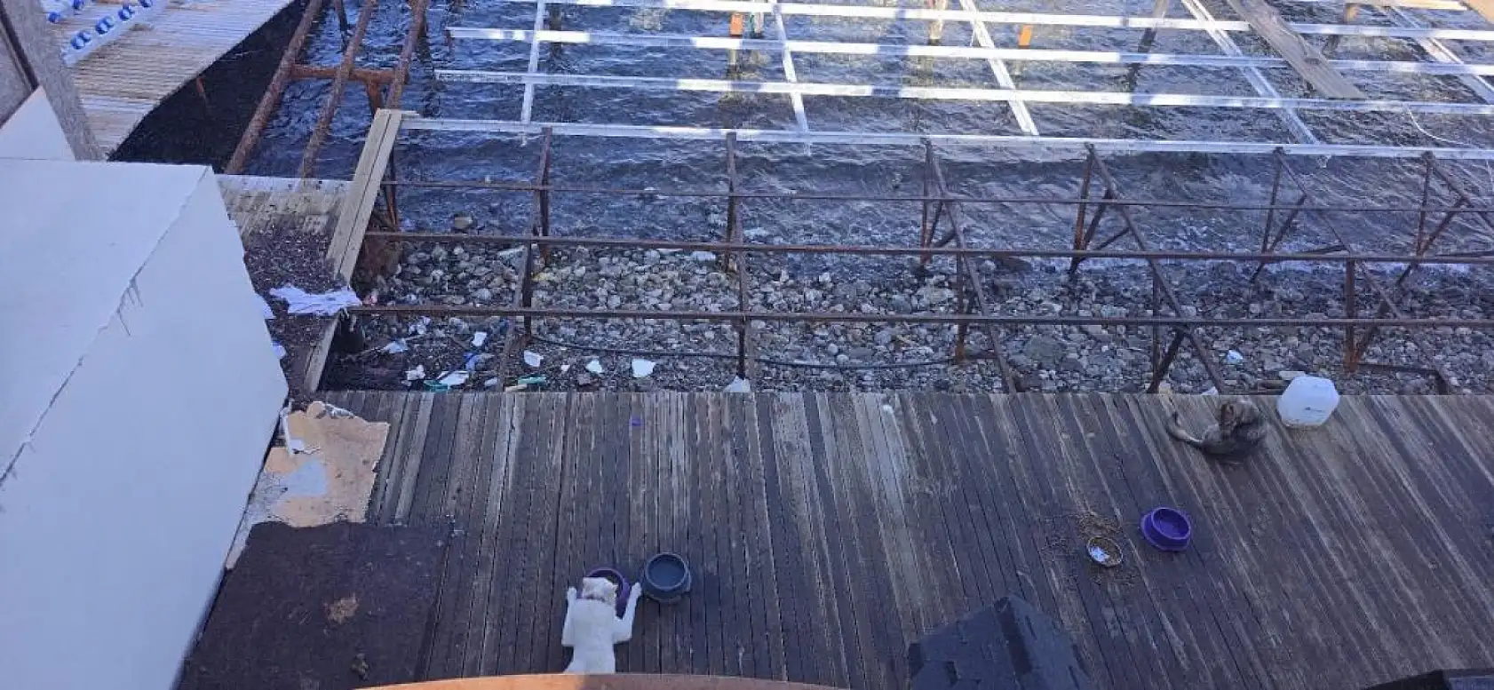 Ünlü sanatçı Kırmızıgül'le gündeme gelen mekana şok