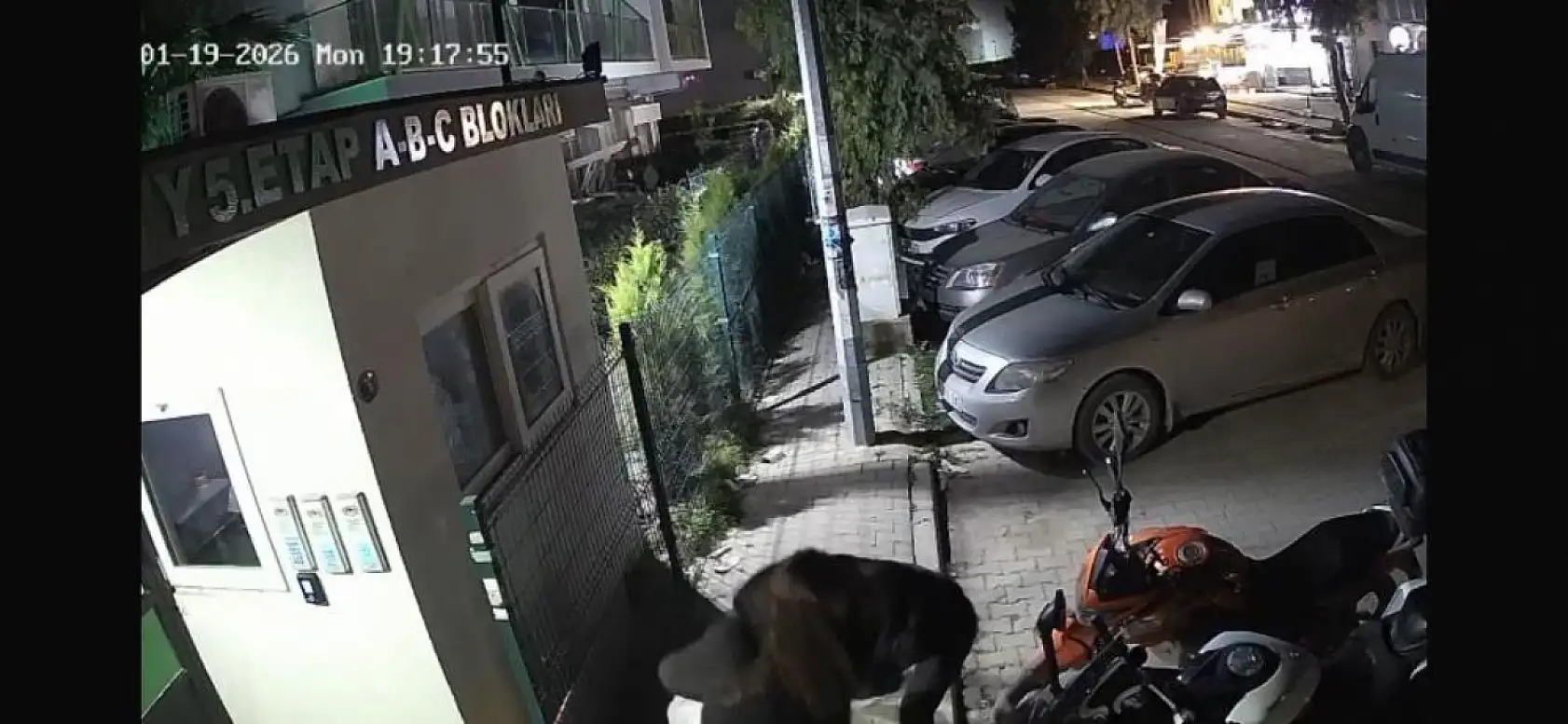 Saplantılı eski sevgili cinayeti: Adresini değiştirdi yine kurtulamadı