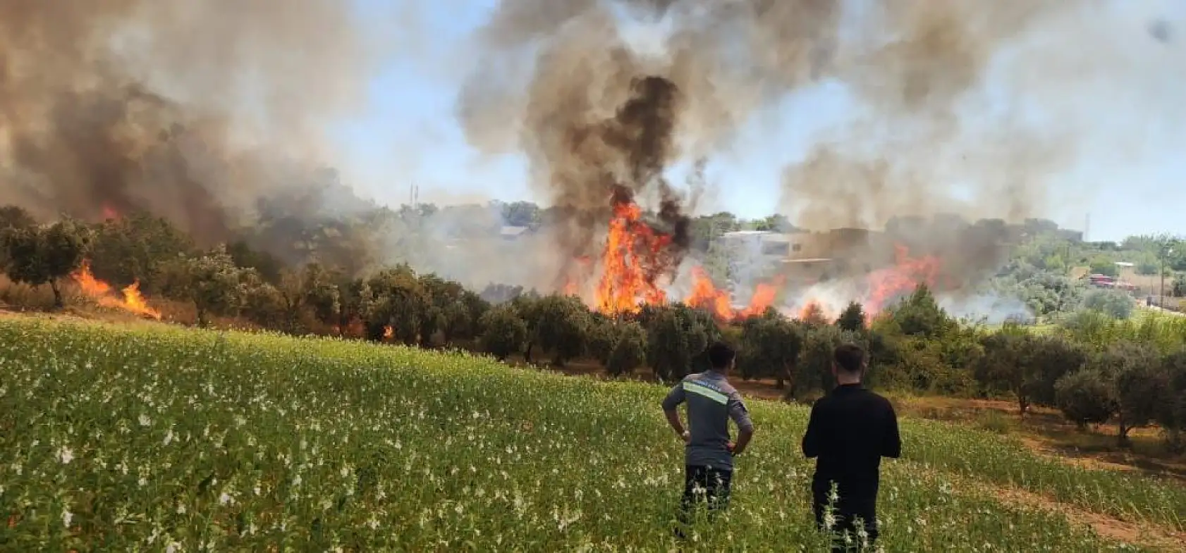 Antalya'da ormanlık ve kırsal alanda çıkan yangın kontrol altına alındı