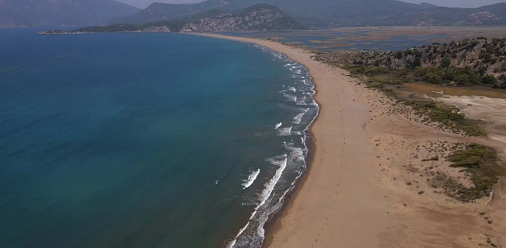 Caretta carettalara ev sahipliği yapan İztuzu Sahili'nde yuva sayısı 800'e ulaştı
