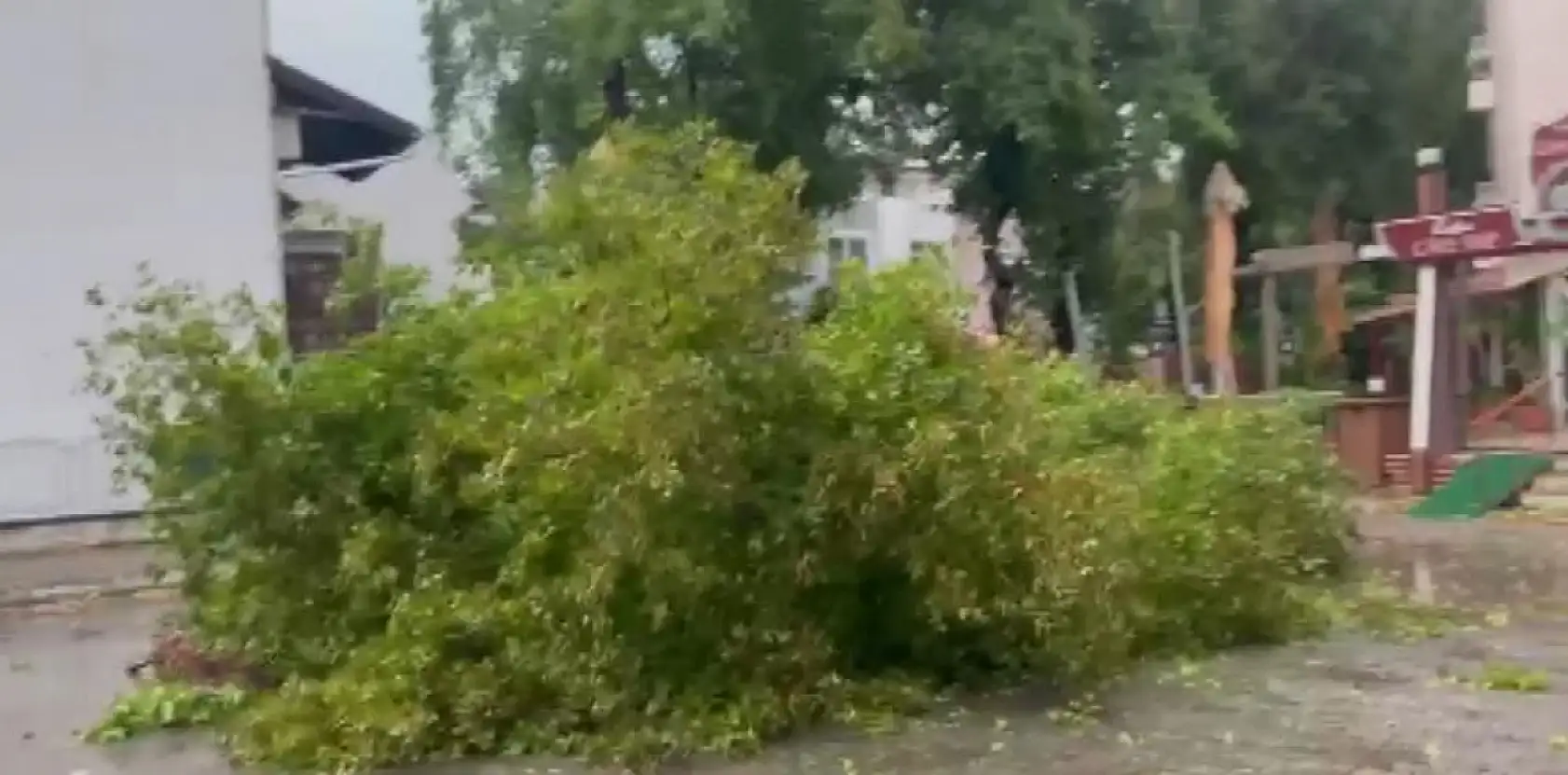 Marmaris'te sağanak etkili oldu
