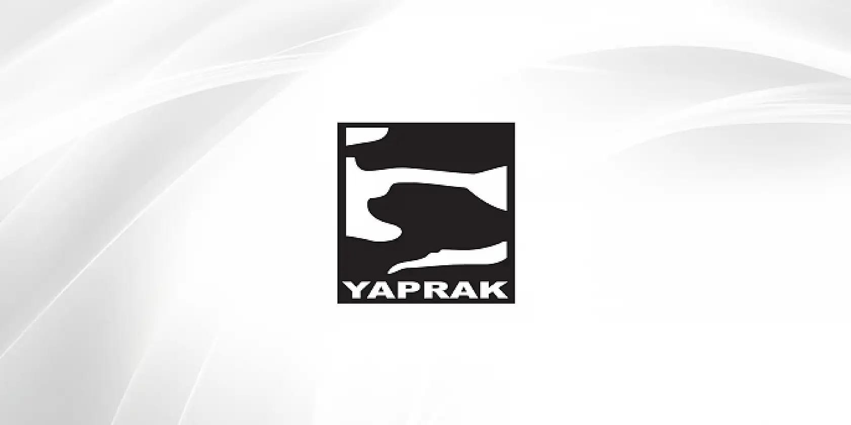 Bu Haber Borsacıları İlgilendiriyor, Bu Hafta Hangi Hisseler Temettü Dağıtacak?