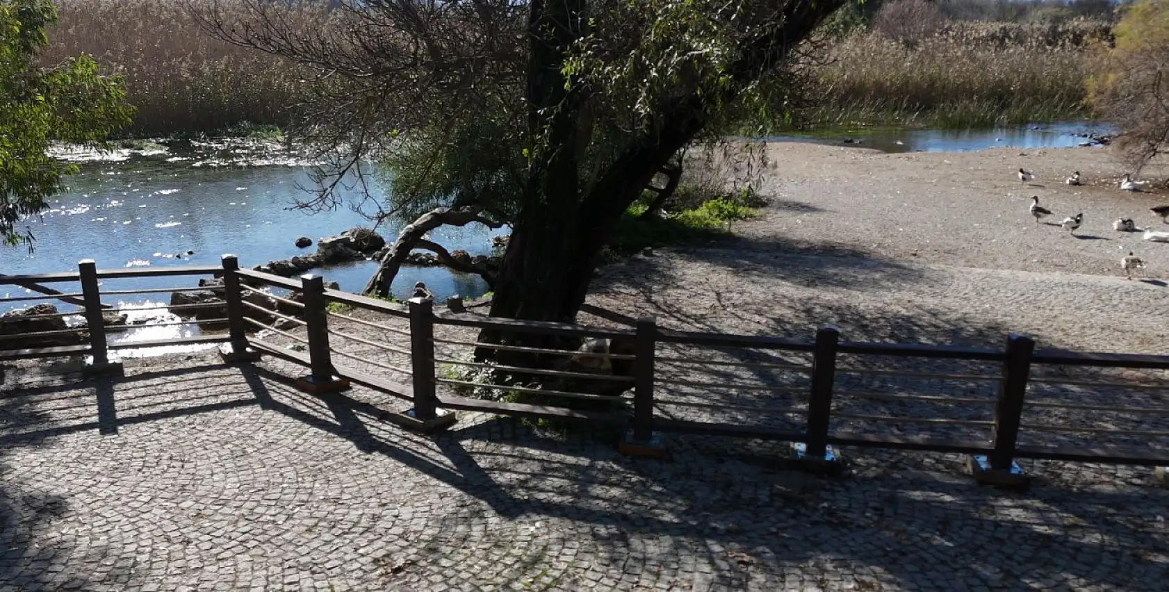 Muğla Büyükşehir Akyaka Kadın Azmağı'nda Doğal Dokuyu Koruyan Çalışmayı Tamamladı