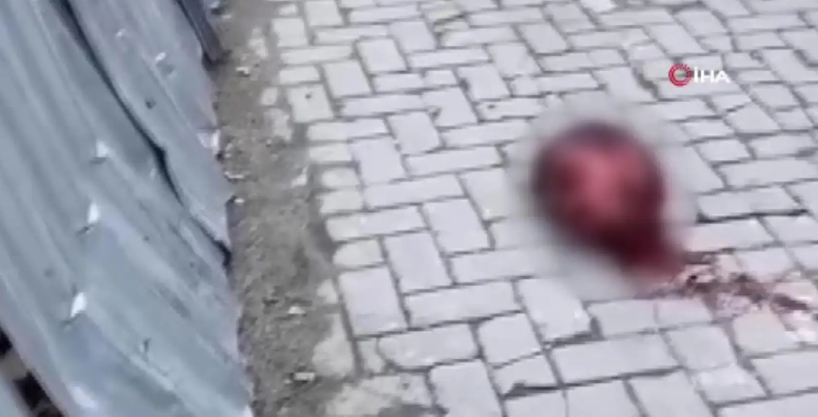 Arkadaşını baltayla öldürdükten sonra başını keserek aşağı attı