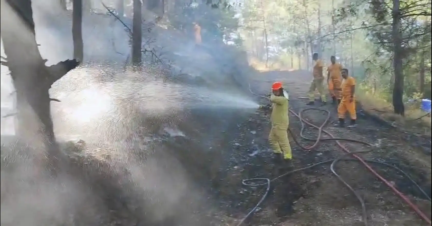 Ortaca'da ormana sıçrayan yangın söndürüldü