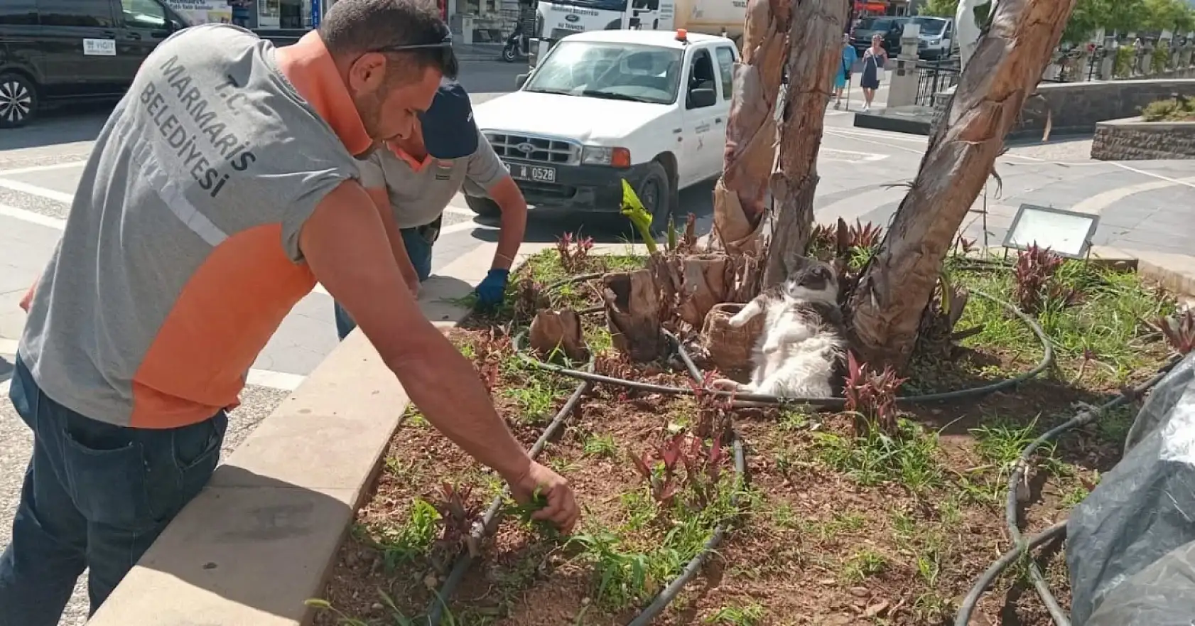 Marmaris'te işçiler çalıştı, o keyfini bozmadı