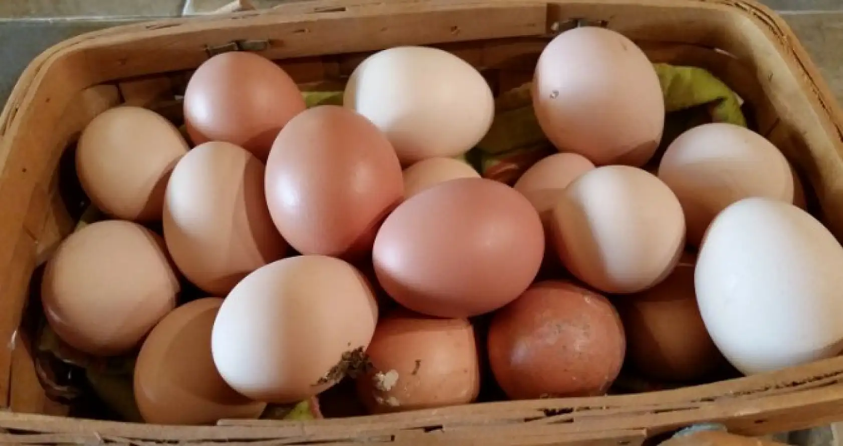 Çok şaşıracaksınız, kahverengi yumurta mı beyaz yumurta mı hangi daha sağlıklı?