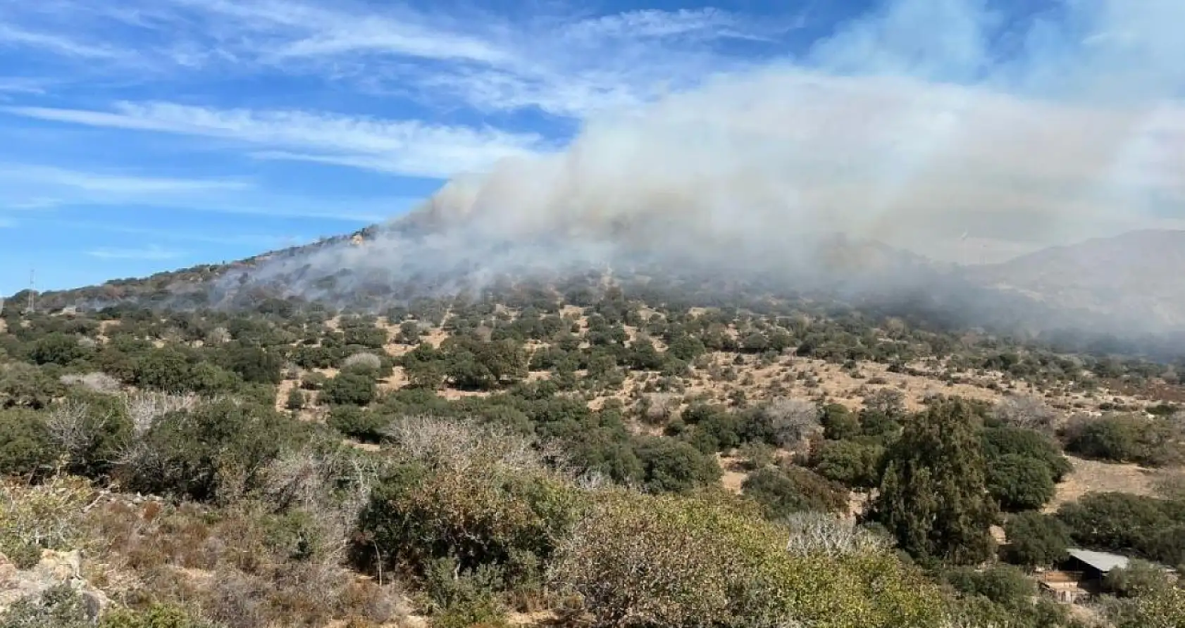 Bodrum'da ağaçlık alanda yangın çıktı