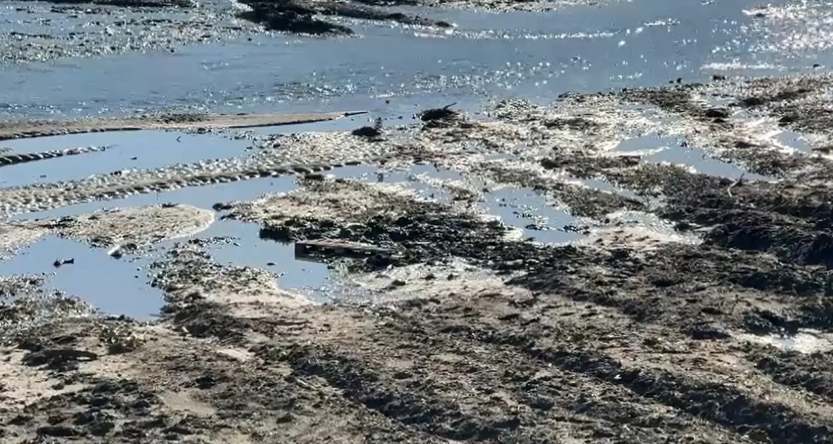 Oynamak için çaya inen 3 çocuk balçığa saplandı