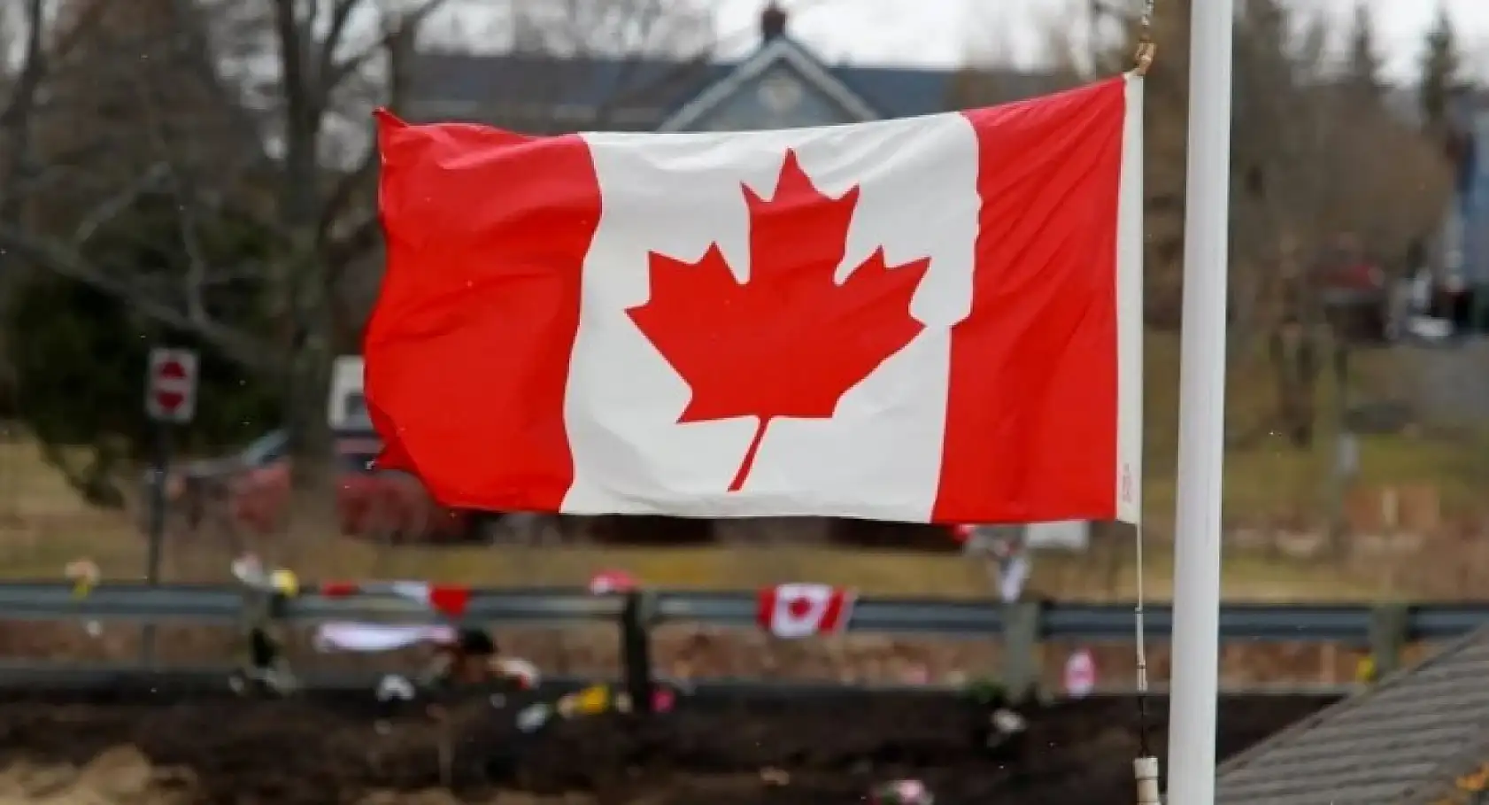 115 Ülkeye IQ testi yapıldı! Türkler bakın kaçıncı oldu?