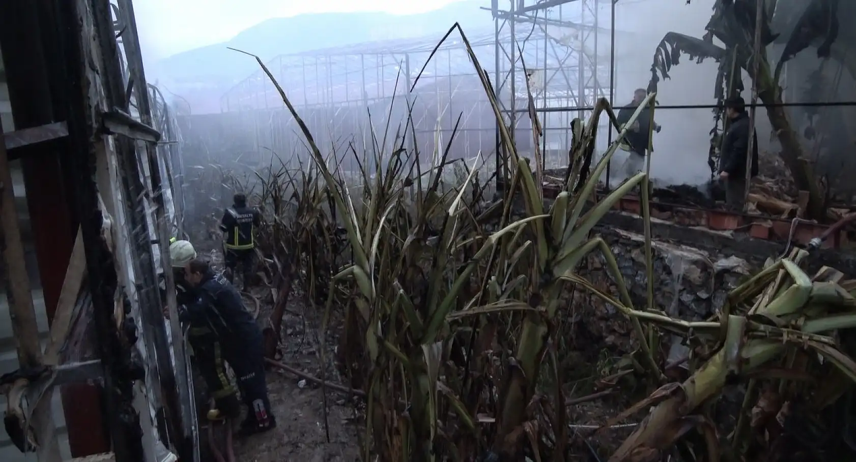 Alanya'da mobilya deposu yandı, alevler muz ve çiçek serasına sıçradı