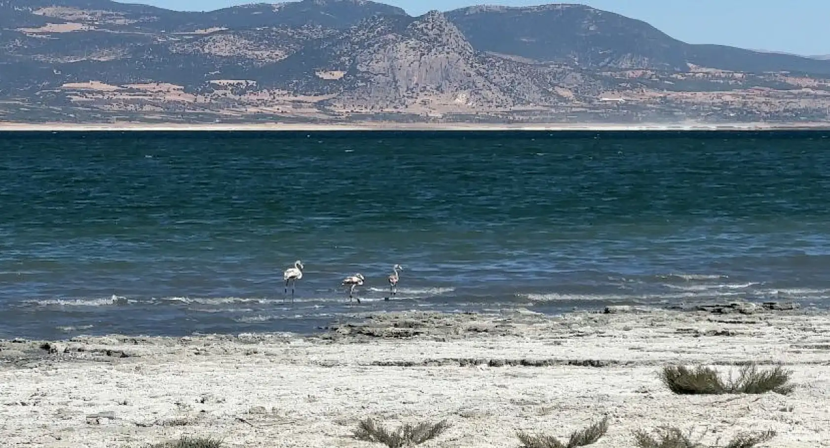 Burdur Gölü'nde balık tutmayı hayal ederken kuruyan gölde otlayan keçileri izliyor