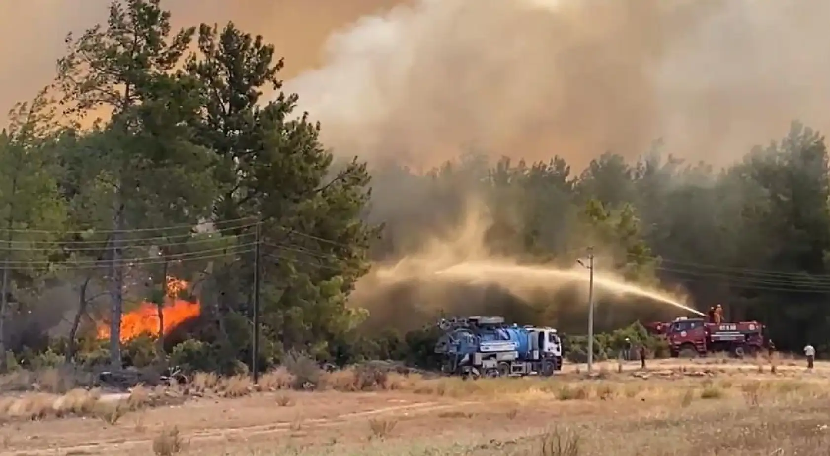 Antalya'da orman yangını