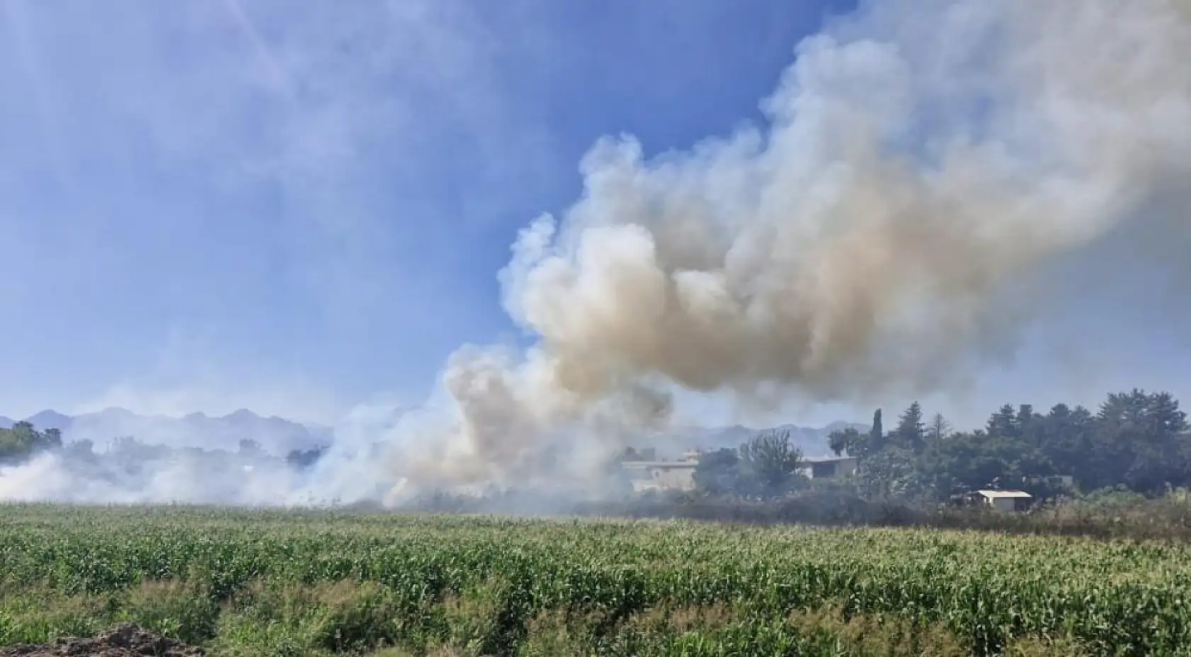 Antalya'da kargılık alanda yangın